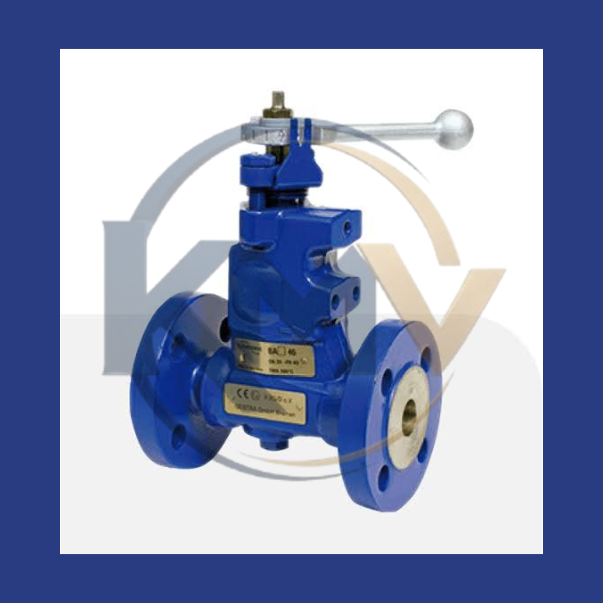 Blowdown Valve